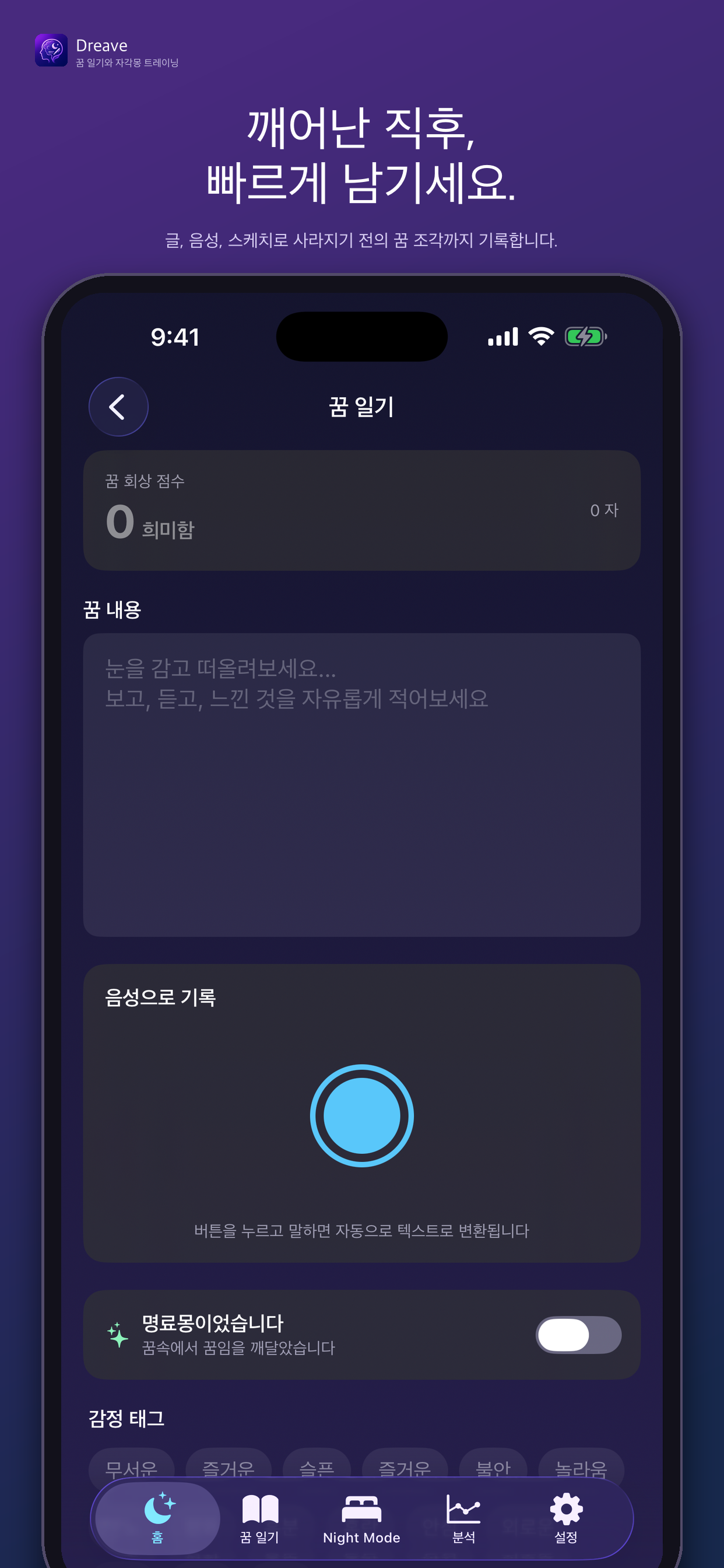 꿈 기록 꿈 기록